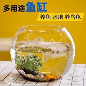 半圓型魚(yú)缸適合養(yǎng)什么魚(yú)呢：半圓形魚(yú)缸適合養(yǎng)什么魚(yú)？ 魚(yú)缸百科 第1張