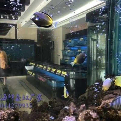 飯店海鮮魚缸設(shè)計尺寸：飯店海鮮魚缸的設(shè)計尺寸