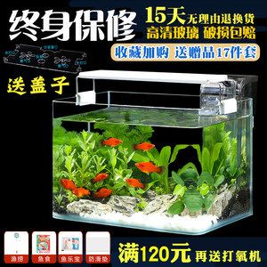 不需要換水的生態(tài)魚缸 魚缸百科 第1張