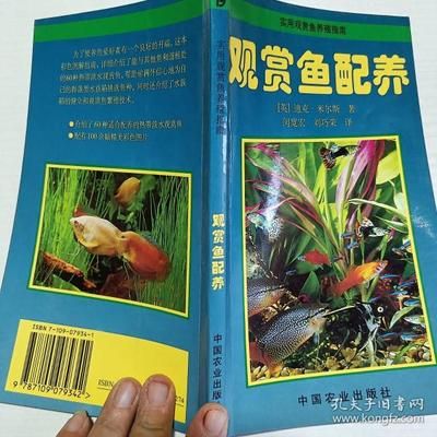 廣州適合養(yǎng)什么觀賞魚種類：廣州適合養(yǎng)什么觀賞魚 魚缸風(fēng)水 第4張