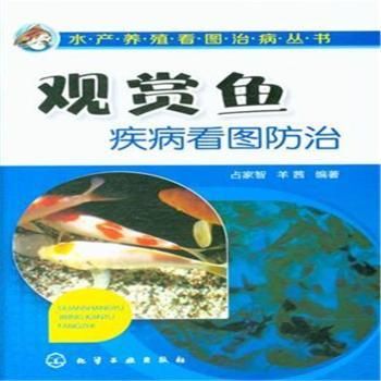 存活率高的觀賞魚：觀賞魚養(yǎng)殖前景分析 魚缸風(fēng)水 第3張