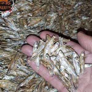 龍魚(yú) 飼料 魚(yú)干：龍魚(yú)的飼料選擇 龍魚(yú)百科 第2張