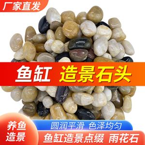 白色石子可以放魚缸嗎視頻：白色石子可以放魚缸嗎 魚缸百科 第2張