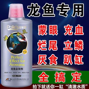 龍魚白蒙眼給什么藥喂：龍魚白蒙眼怎么治療 龍魚百科 第2張