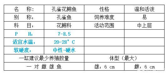 折騰更健康：今天把藍(lán)缸改成白色,麥田里的茶民評論：干凈了 觀賞魚論壇 第3張