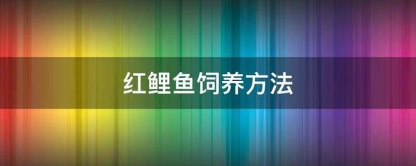 紅鯉魚魚缸放什么：紅鯉魚怎么養(yǎng)紅鯉魚的飼養(yǎng)方法