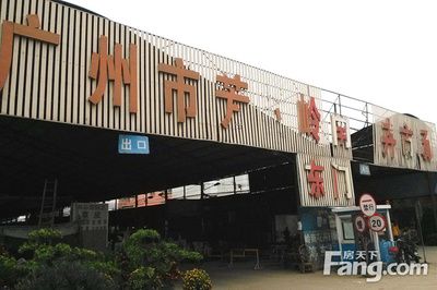 廣州芳村花卉批發(fā)市場在哪里：廣州花卉批發(fā)市場