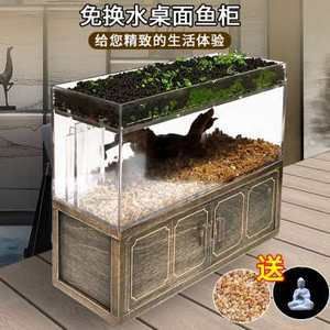 斗魚缸可以造景嗎視頻：探索水族造景的世界 魚缸百科 第4張