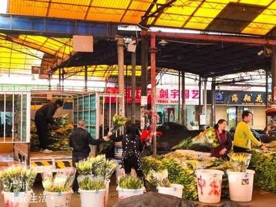 芳村花卉市場地鐵出口：廣州嶺南花卉市場 廣州水族批發(fā)市場 第4張