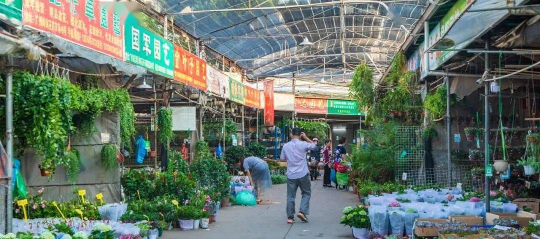 芳村花卉市場地鐵出口：廣州嶺南花卉市場 廣州水族批發(fā)市場 第1張