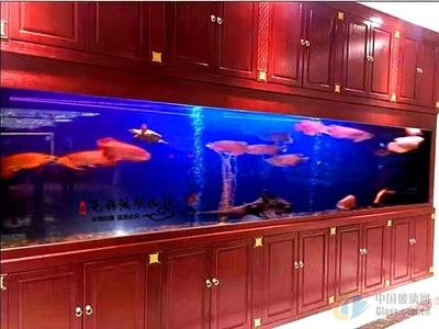 大型酒店魚缸定做：上海大型酒店魚缸定做