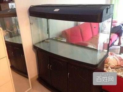 廣州魚缸哪里買最便宜實(shí)惠好用的：廣州熱帶魚飼養(yǎng)技巧 廣州水族批發(fā)市場(chǎng) 第1張