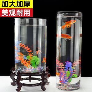 大型玻璃魚缸用什么膠水：如何選擇合適的玻璃膠 魚缸百科 第1張