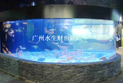 廣州魚缸哪里買最便宜實(shí)惠的好：廣州購(gòu)買魚缸時(shí)既便宜又實(shí)惠的地方：廣州觀賞魚市場(chǎng) 廣州水族批發(fā)市場(chǎng) 第3張