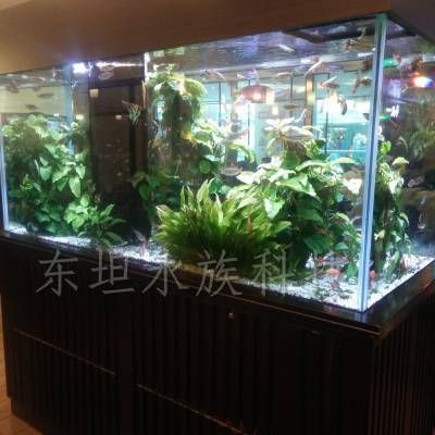 廣州魚缸哪里買最便宜實(shí)惠的好：廣州購(gòu)買魚缸時(shí)既便宜又實(shí)惠的地方：廣州觀賞魚市場(chǎng) 廣州水族批發(fā)市場(chǎng) 第1張