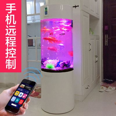 超白金晶魚缸排名前十名：超白金晶魚缸品牌推薦 魚缸百科 第3張