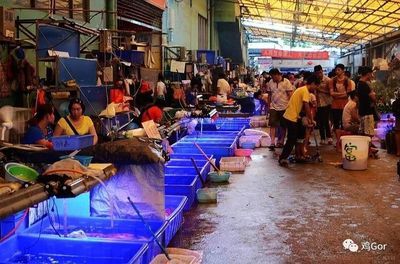 芳村花鳥魚蟲市場 萬科：廣州芳村花鳥魚蟲市場搬遷引發(fā)公眾關(guān)注文化遺產(chǎn)保護(hù)策略 廣州水族批發(fā)市場 第1張