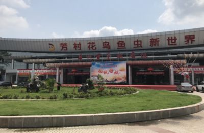 芳村花鳥魚蟲市場(chǎng)搬遷去哪里去了：廣州芳村花鳥魚蟲市場(chǎng)已經(jīng)搬遷至廣州花卉博覽園內(nèi) 廣州水族批發(fā)市場(chǎng) 第4張