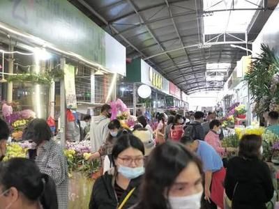 芳村嶺南花卉市場(chǎng)地鐵哪個(gè)站下 廣州水族批發(fā)市場(chǎng) 第1張