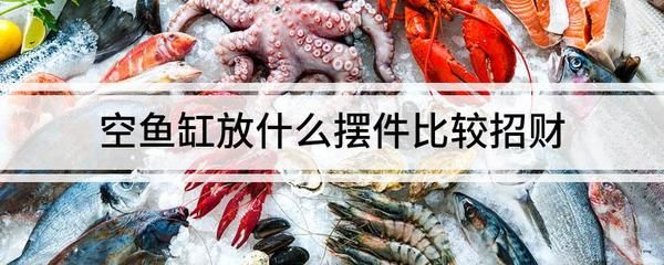 家里能擺放空魚缸嗎：風(fēng)水魚缸擺放位置 魚缸風(fēng)水 第1張