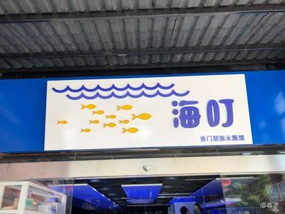 廣州買觀賞魚的那家水族點(diǎn)信譽(yù)好 廣州水族批發(fā)市場 第4張