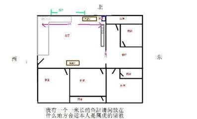 家里面魚缸擺放位置 魚缸風(fēng)水 第1張