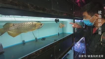 廣州最大觀賞魚市場：廣州花地灣花鳥魚蟲批發(fā)市場