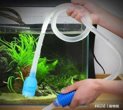 家里的魚缸不用了怎么處理最好放在什么地方合適：家里魚缸不用了可以根據(jù)具體情況采取不同的處理方式 魚缸風(fēng)水 第4張