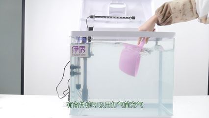 打氣筒給魚缸加氧：使用打氣筒給魚缸加氧可行嗎？ 魚缸百科 第1張