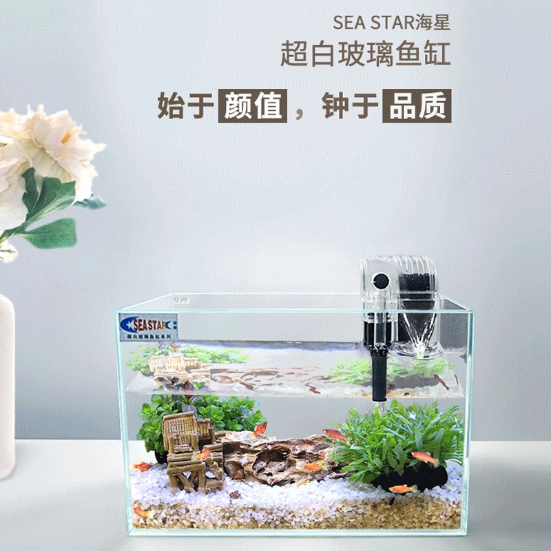 放金魚缸有講究不：放置金魚缸的風(fēng)水講究 魚缸風(fēng)水 第4張