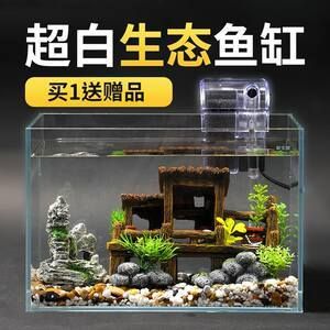 觀賞魚缸高端大氣：家居風(fēng)水與魚缸布局