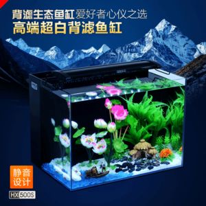 觀賞魚缸高端大氣：家居風(fēng)水與魚缸布局