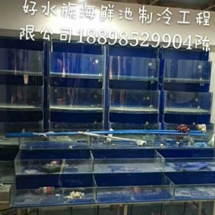 廣州水族批發(fā)市場搬去哪里了呢最近：廣州水族批發(fā)市場在2020年經(jīng)歷了一次搬遷 廣州水族批發(fā)市場 第3張