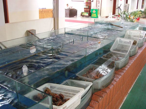 廣州魚缸批發(fā)：廣州水族文化探秘廣州水族文化探秘廣州水族文化探秘 廣州水族批發(fā)市場(chǎng) 第4張