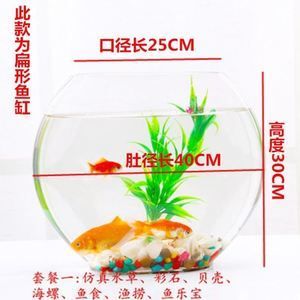 斗魚魚缸布景：關(guān)于斗魚魚缸布景的建議和步驟 魚缸百科 第3張