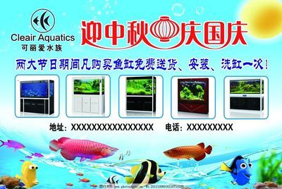 廣州買魚缸的地方有哪些：如果您在廣州尋找購買魚缸的地方