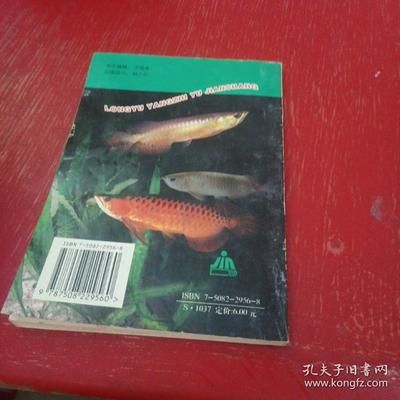 養(yǎng)龍魚需要什么東西：養(yǎng)龍魚需要準(zhǔn)備什么物品 龍魚百科 第1張