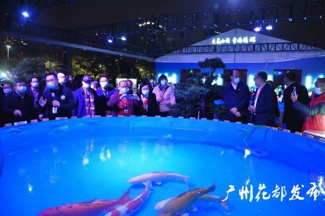 廣州觀賞魚2021：廣州觀賞魚市場在2021年呈現(xiàn)出多元化、專業(yè)化發(fā)展趨勢 廣州水族批發(fā)市場 第1張