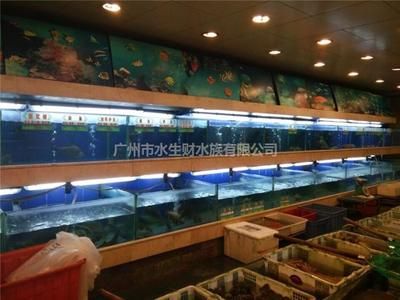 廣州水族批發(fā)市場有哪些魚類價格高：廣州水族批發(fā)市場價格 廣州水族批發(fā)市場 第1張