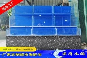 廣州水族批發(fā)市場有哪些魚類價格高：廣州水族批發(fā)市場價格 廣州水族批發(fā)市場 第4張