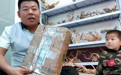 大魚缸滲水怎么補漏水視頻教學：修補大魚缸滲水的方法和注意事項和注意事項