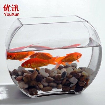 玻璃魚(yú)缸有沒(méi)有蓋 魚(yú)缸百科 第1張