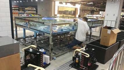 廣州最大觀賞魚用品市場：廣州花地灣花鳥魚蟲批發(fā)市場 廣州水族批發(fā)市場 第2張