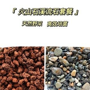 魚缸養(yǎng)龍魚放火山石好嗎：火山石在龍魚缸中的作用 龍魚百科 第3張