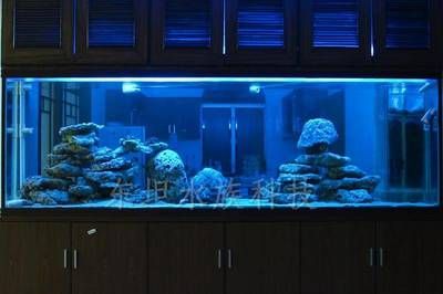 廣州買魚缸去哪里買：廣州哪里可以購買魚缸 廣州水族批發(fā)市場 第4張