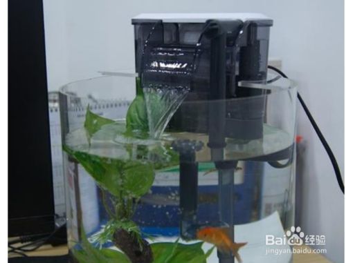 大型魚缸過濾器怎么制作：自制大型魚缸過濾器制作過濾器的基本步驟和注意事項 魚缸百科 第3張