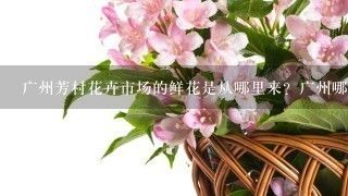 廣州芳村花市場(chǎng) 地鐵口：27篇廣州芳村花市場(chǎng)交通指南芳村花市場(chǎng)交通指南 廣州水族批發(fā)市場(chǎng) 第1張