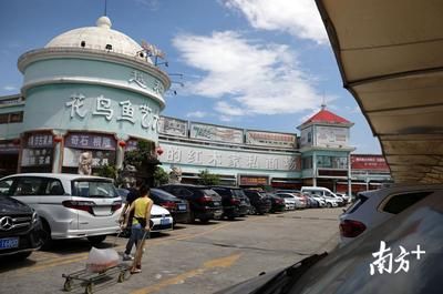 廣州花地灣水族批發(fā)市場搬遷了嗎：廣州花地灣花鳥魚蟲市場搬遷后的新地址位于廣州市荔灣區(qū) 廣州水族批發(fā)市場 第3張