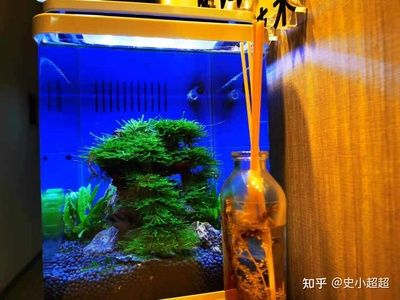 百因美 魚缸安裝：百因美魚缸安裝步驟 魚缸百科 第3張