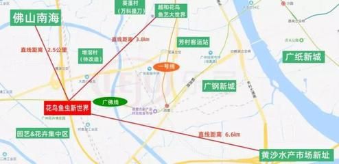 廣州芳村花鳥市場有什么公交車到：23篇廣州芳村花鳥市場公交車路線廣州芳村花鳥市場交通指南